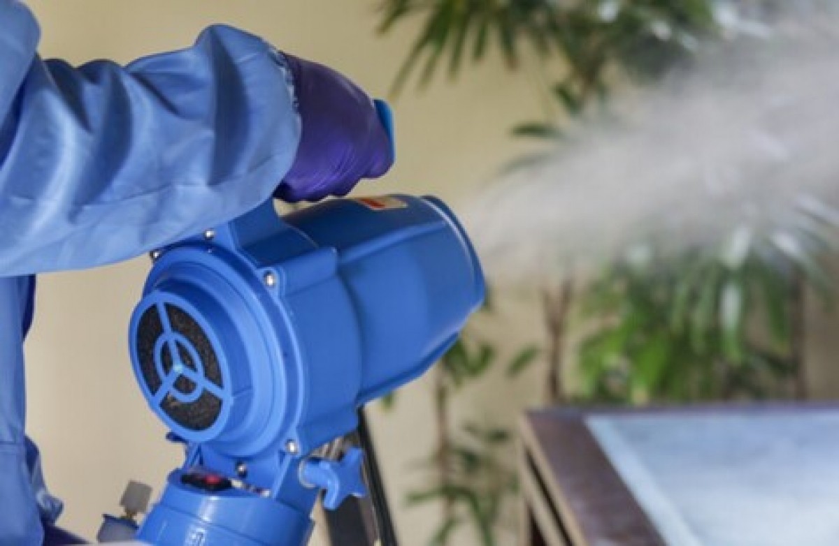 Digrain Bugster EC Lodi UK